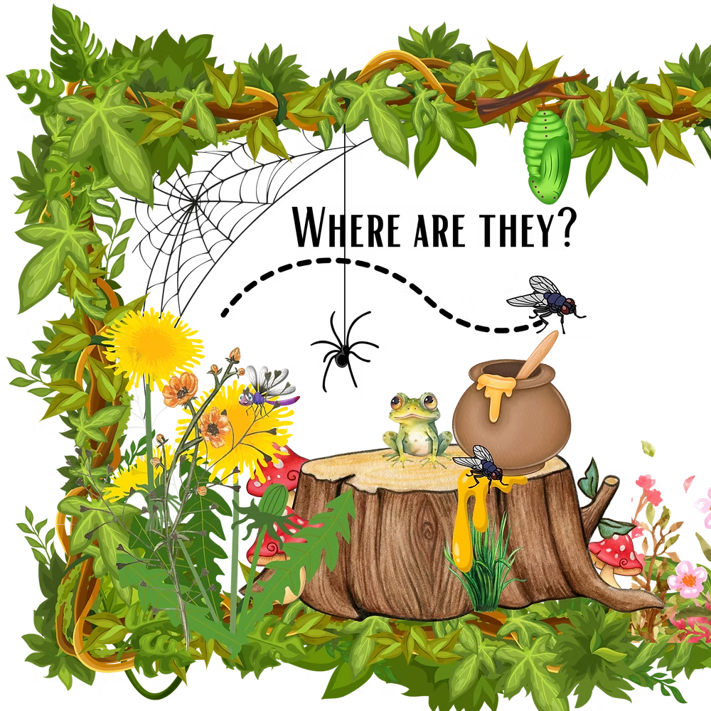 The Marvelous Adventures of Bob the Bee